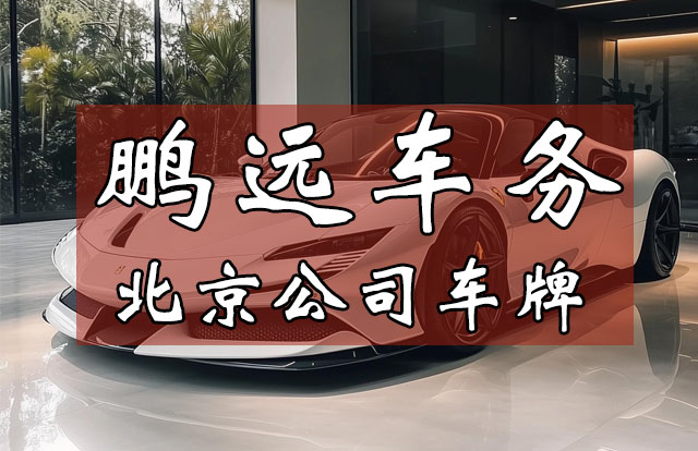 公司车牌